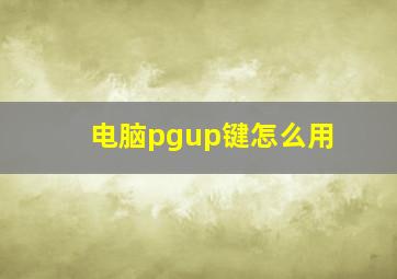 电脑pgup键怎么用