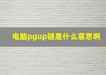 电脑pgup键是什么意思啊