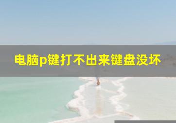 电脑p键打不出来键盘没坏