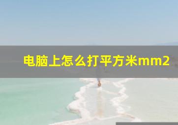 电脑上怎么打平方米mm2