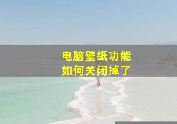 电脑壁纸功能如何关闭掉了