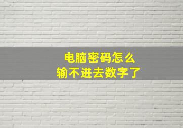 电脑密码怎么输不进去数字了