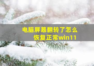 电脑屏幕翻转了怎么恢复正常win11