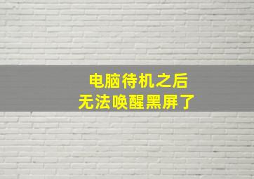 电脑待机之后无法唤醒黑屏了