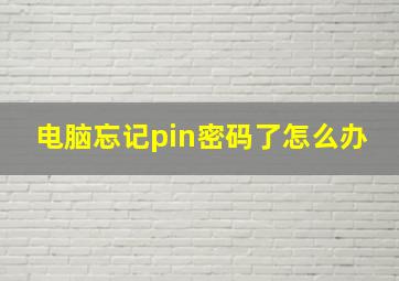 电脑忘记pin密码了怎么办