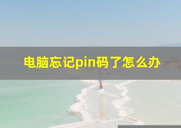 电脑忘记pin码了怎么办