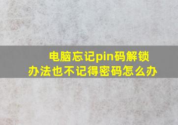 电脑忘记pin码解锁办法也不记得密码怎么办