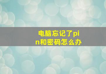 电脑忘记了pin和密码怎么办