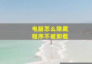 电脑怎么隐藏程序不被卸载