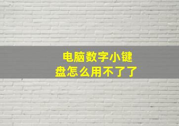 电脑数字小键盘怎么用不了了