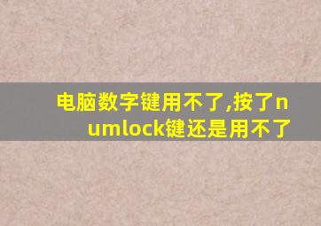 电脑数字键用不了,按了numlock键还是用不了