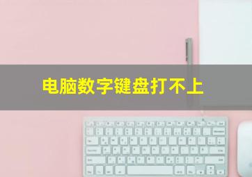 电脑数字键盘打不上