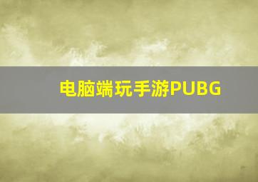 电脑端玩手游PUBG