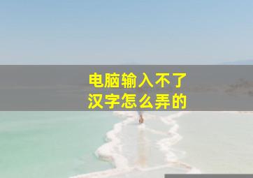 电脑输入不了汉字怎么弄的