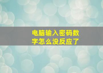 电脑输入密码数字怎么没反应了