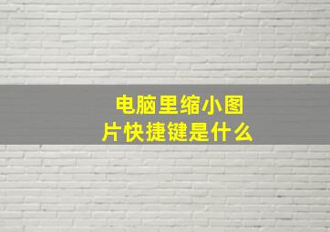 电脑里缩小图片快捷键是什么