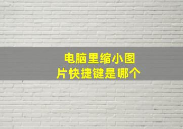 电脑里缩小图片快捷键是哪个