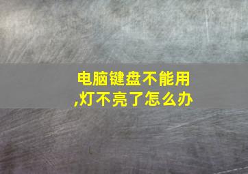 电脑键盘不能用,灯不亮了怎么办