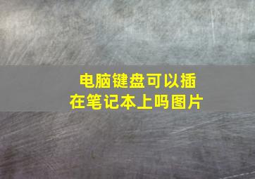 电脑键盘可以插在笔记本上吗图片