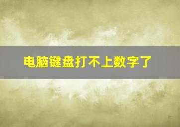 电脑键盘打不上数字了