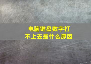 电脑键盘数字打不上去是什么原因