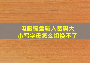 电脑键盘输入密码大小写字母怎么切换不了