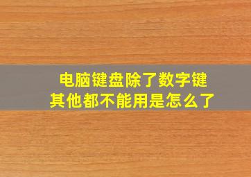 电脑键盘除了数字键其他都不能用是怎么了