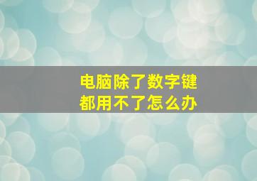 电脑除了数字键都用不了怎么办