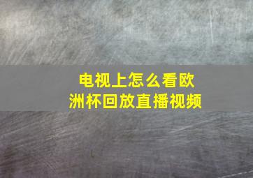 电视上怎么看欧洲杯回放直播视频