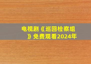 电视剧《巡回检察组》免费观看2024年