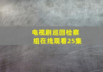 电视剧巡回检察组在线观看25集