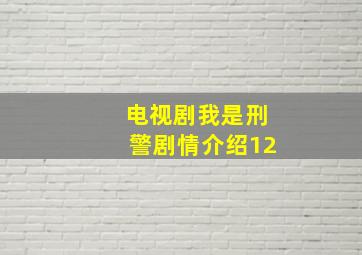 电视剧我是刑警剧情介绍12