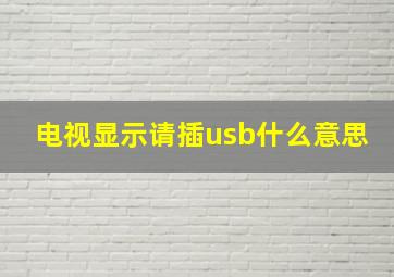 电视显示请插usb什么意思