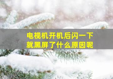 电视机开机后闪一下就黑屏了什么原因呢