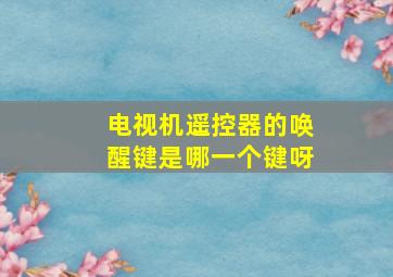 电视机遥控器的唤醒键是哪一个键呀