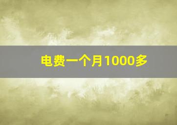 电费一个月1000多