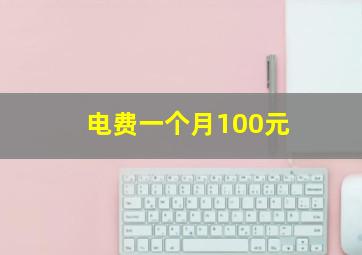 电费一个月100元