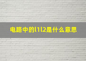 电路中的l1l2是什么意思