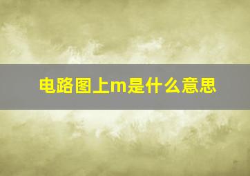 电路图上m是什么意思