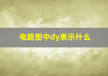 电路图中dy表示什么