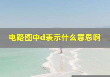 电路图中d表示什么意思啊