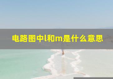 电路图中l和m是什么意思