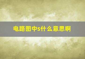 电路图中s什么意思啊