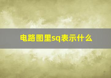 电路图里sq表示什么