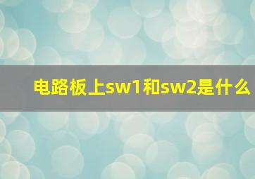 电路板上sw1和sw2是什么