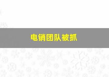 电销团队被抓