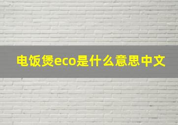 电饭煲eco是什么意思中文