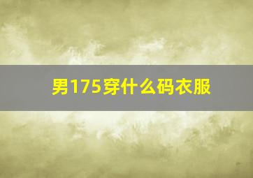 男175穿什么码衣服