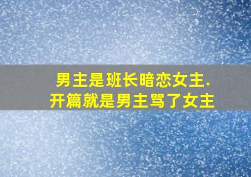 男主是班长暗恋女主.开篇就是男主骂了女主