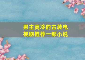 男主高冷的古装电视剧推荐一部小说